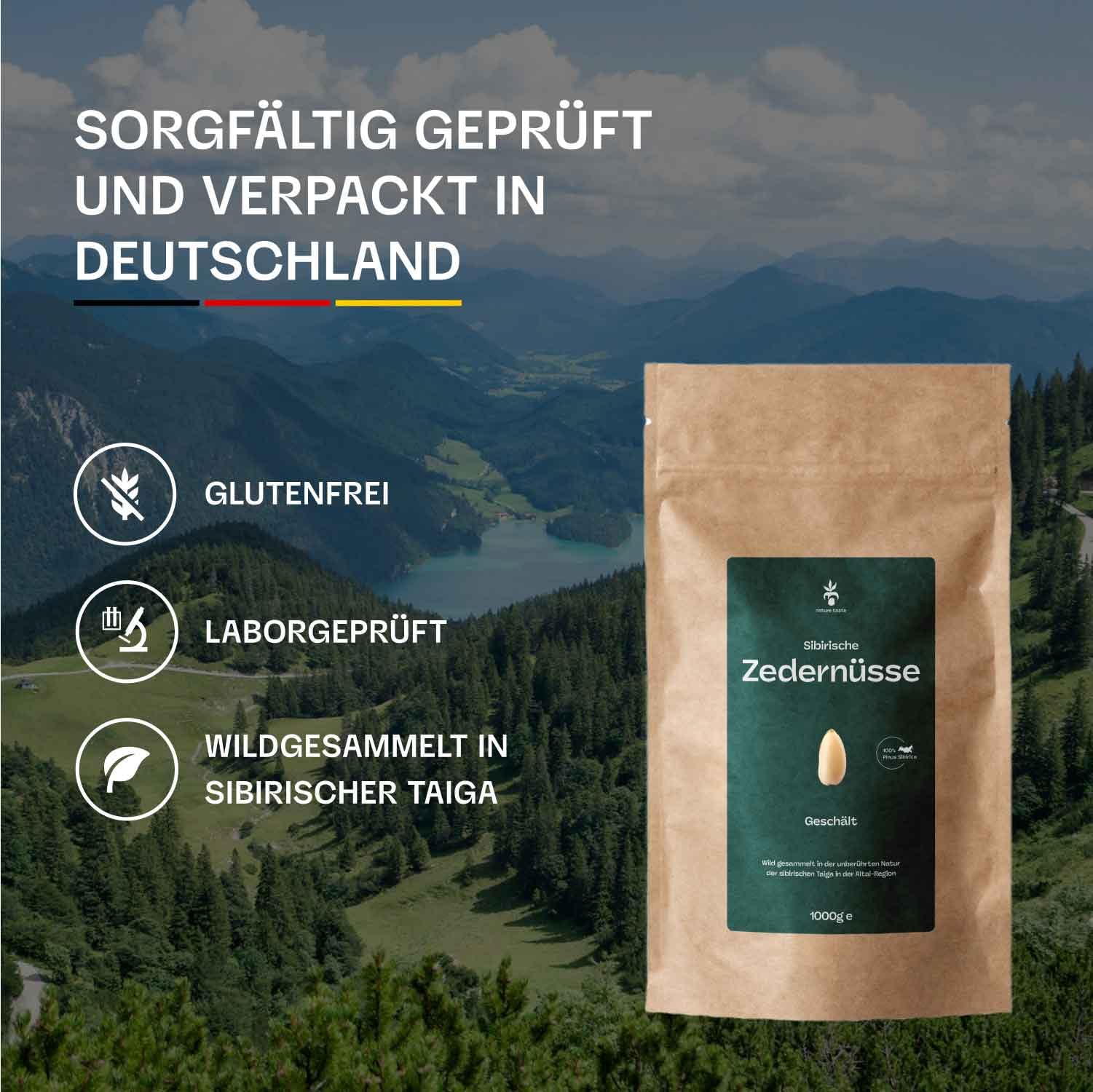 Sibirische Pinienkerne 1 kg - Zedernüsse - Pinienkerne aus Sibirien - Frische Ernte - unbehandelt und naturbelassen