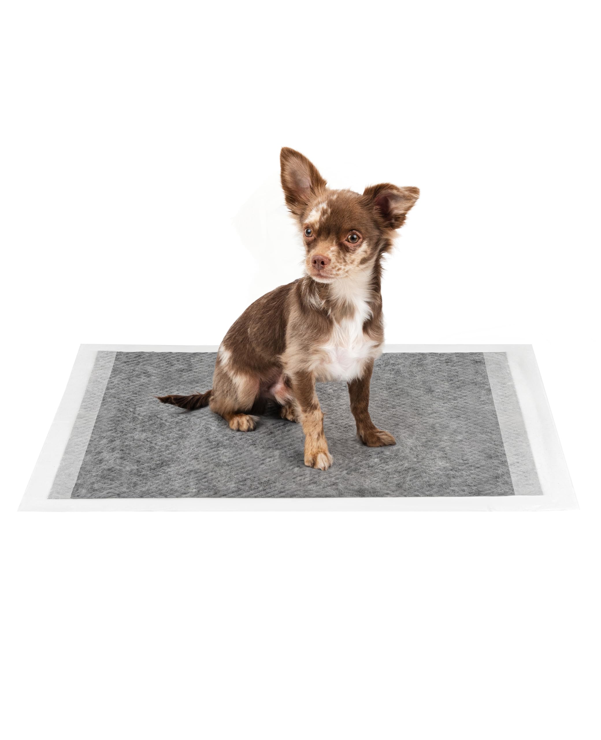 lionto Kohlefaser Welpenunterlagen, 6-lagige Trainingspads für Hunde mit Klebestreifen, 60x60 cm, 100 STK., auslaufsicher & robust, hohe Saugfähigkeit für kranke & inkontinente Tiere, schwarz/weiß