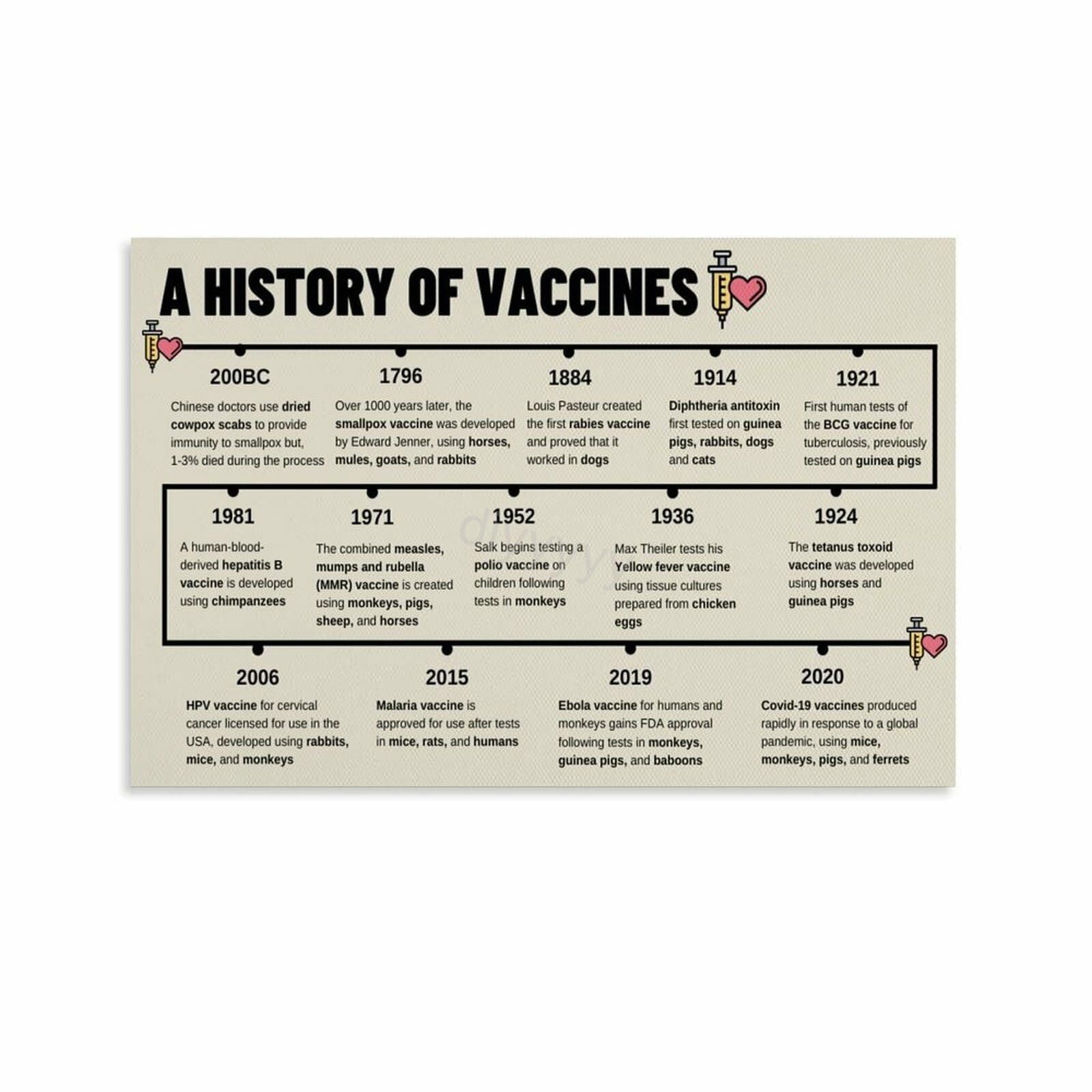 HGETJOHXEM Educational Timeline Poster, The Science of Vaccine Development Chart, Biology Classroom Canvas Art for Student Teacher(Unframed,12x18inch(30x45cm))