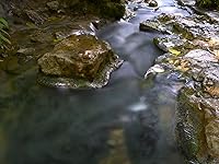 Review Image by Daniel Daniel