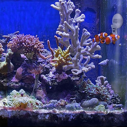 Miniatura 8 de POPETPOP Paquete de 4 clips de ventosa de algas marinas, herramienta de alimentación para pecera, accesorios de acuario