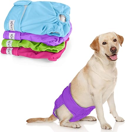amazon prime dog diapers