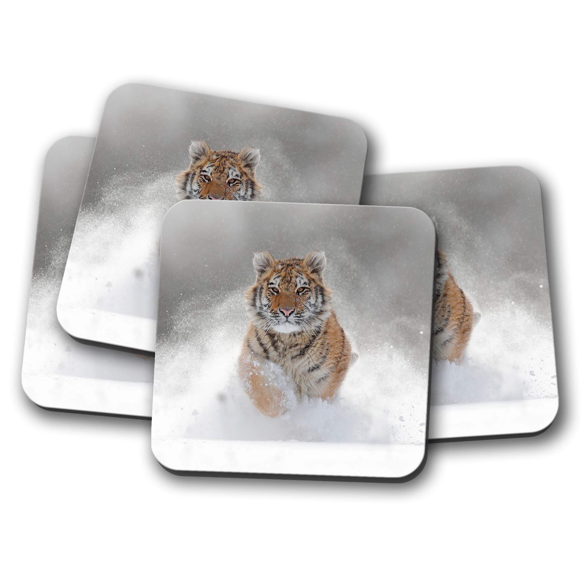 4 Set - Beautiful Tiger Coaster - Big Cat Lion Siberian Snow Winter #8600