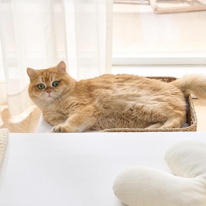 Cama para Perro Mediana Plegable con Guarda Tejida a Mano miniatura 9