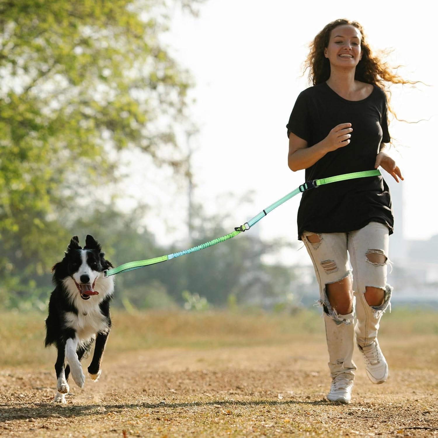 Roses&Poetry Hands Free Dog Leash for Medium Large Dogs Heavy Duty, No Pull Bungee Dog Running Waist Leash for Walking Training with Car Seatbelt 4-6FT
