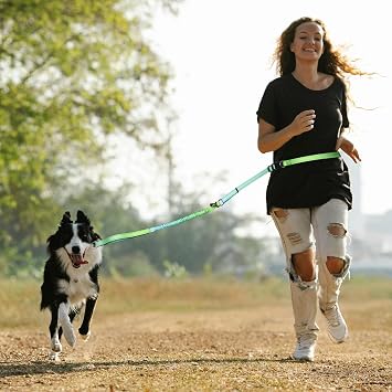 Roses&Poetry Heavy Duty Dog Leash,No Pull Bungee Dog Running Waist Leash for Walking Training with Car Seatbelt 4-6F