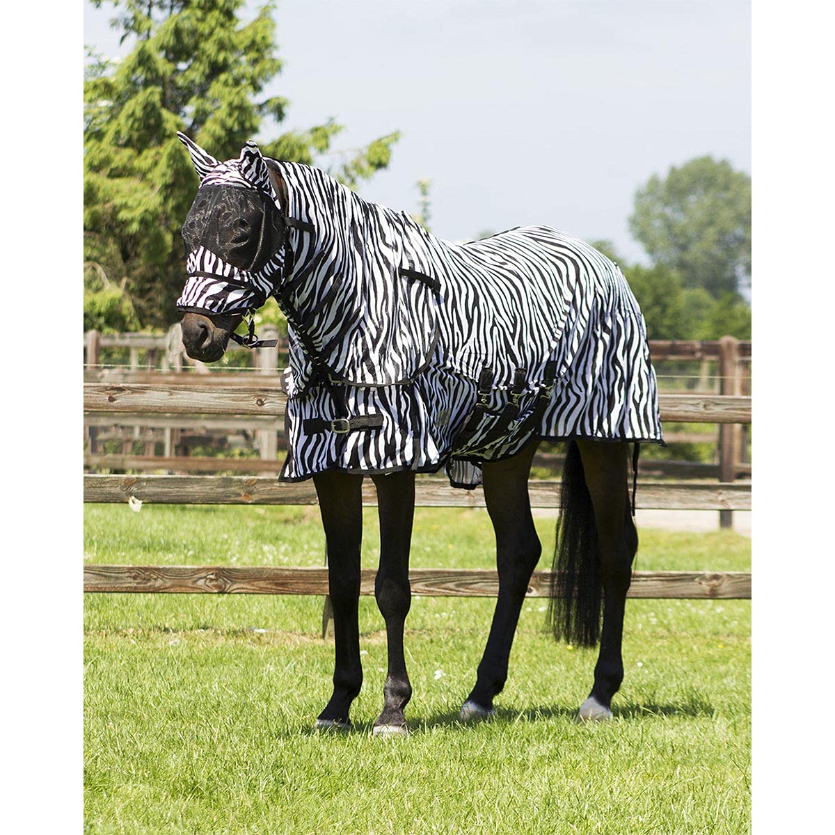 Couverture Anti Mouche avec Couvre-Cou et Bonnet pour Cheval QHP