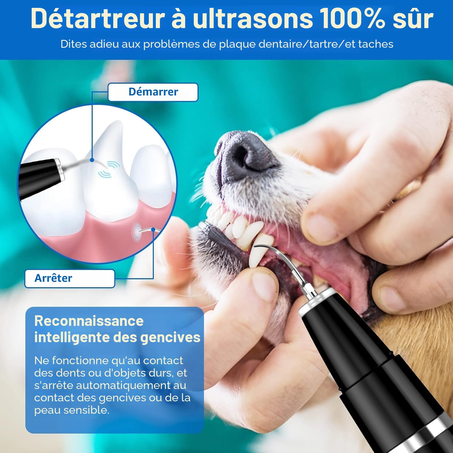 Ni-SHEN Kit d'enlèvement de plaque dentaire, de nettoyage des dents à ultrasons pour animaux domestiques, de tartre et de taches, convient pour chiens et chats (Noir)