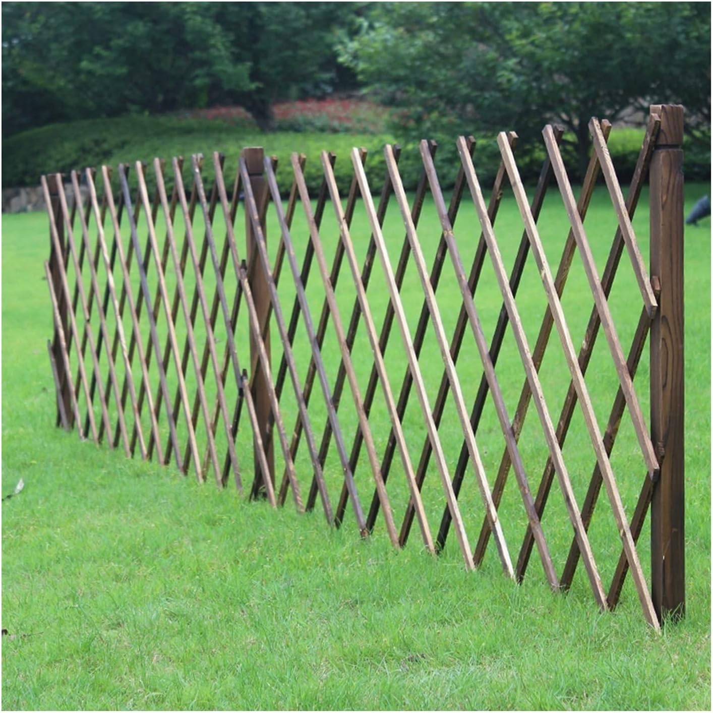 LIXIONG-Garden Fencing, Retractable Wooden Trellis Panels, Plant Support Expanding Screen for Balcony Patio Outdoor Decoration, 10 Sizes (Color : A, Size : (W) 50x(H) 140cm)