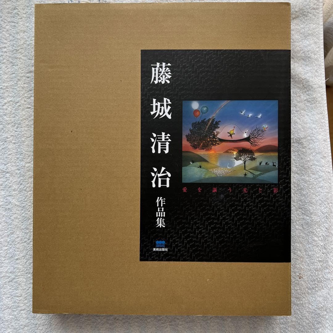 Amazon.co.jp: 藤城清治作品集 愛を謳う光と影 1冊函入り￼ C : おもちゃ