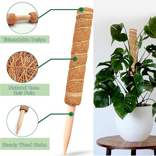 Miniatura 3 de Soporte para plantas Monstera de 48.7 pulgadas, paquete de 4 postes de musgo de 15.7 pulgadas, estacas para plantas de interior. Soporte de plantas