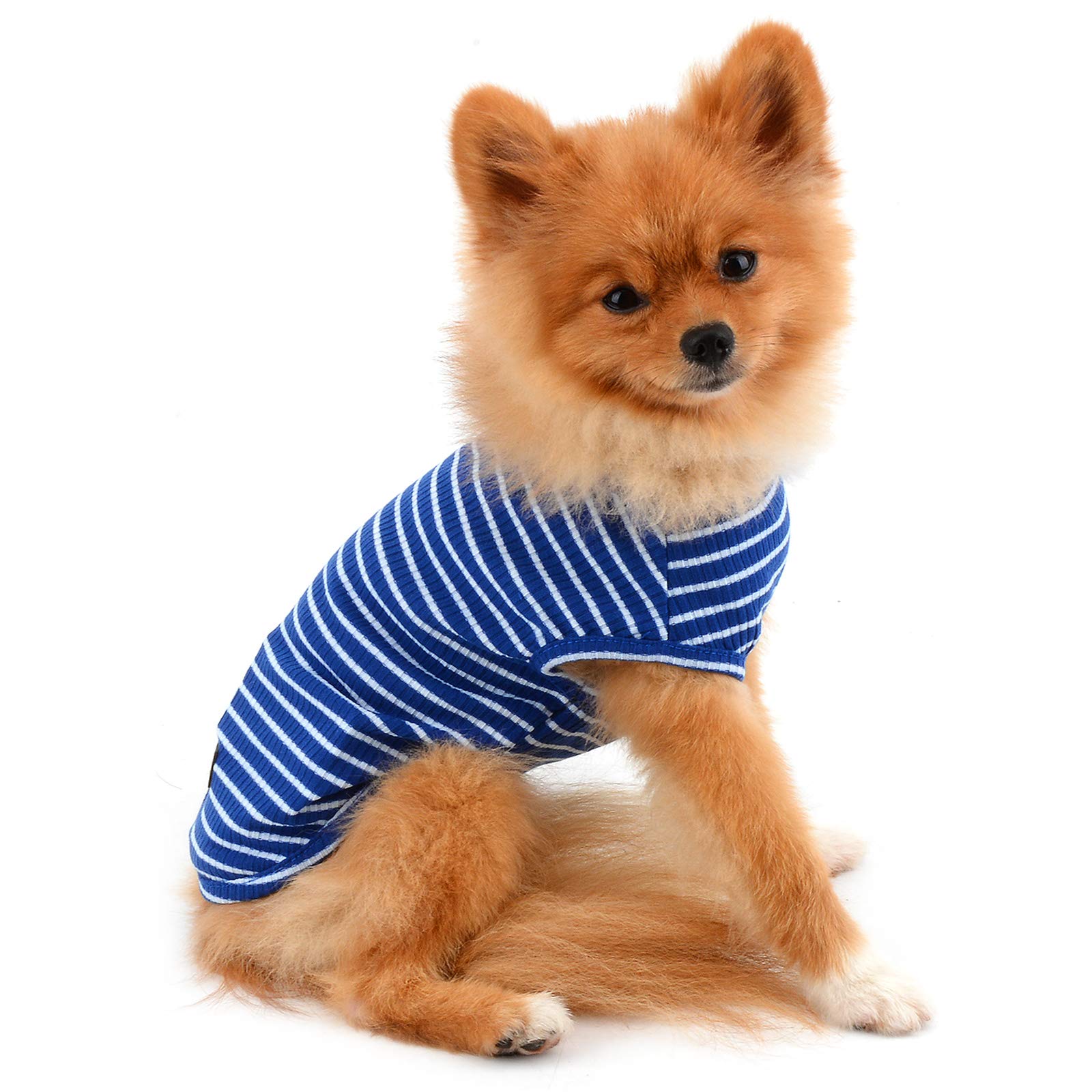 PAIDEFUL Vêtements pour Petits Chiens Garçon Fille été rayé Chiot t-Shirt Gilet Respirant Coton t-Shirt sans Manches Chihuahua Yorkshire Bleu M