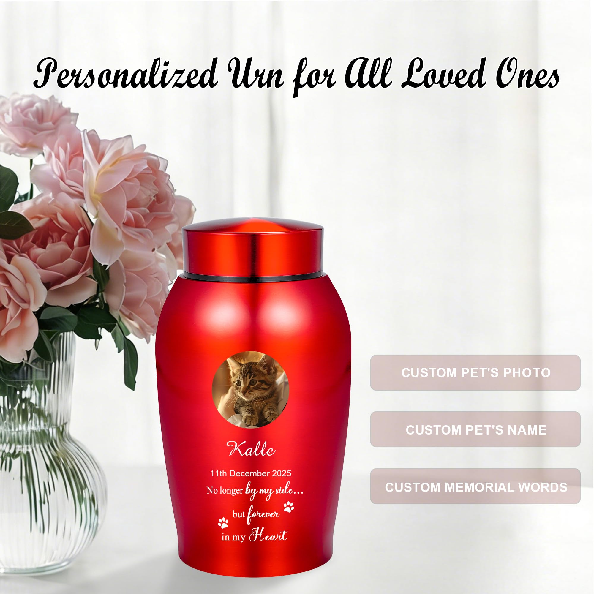 View 6