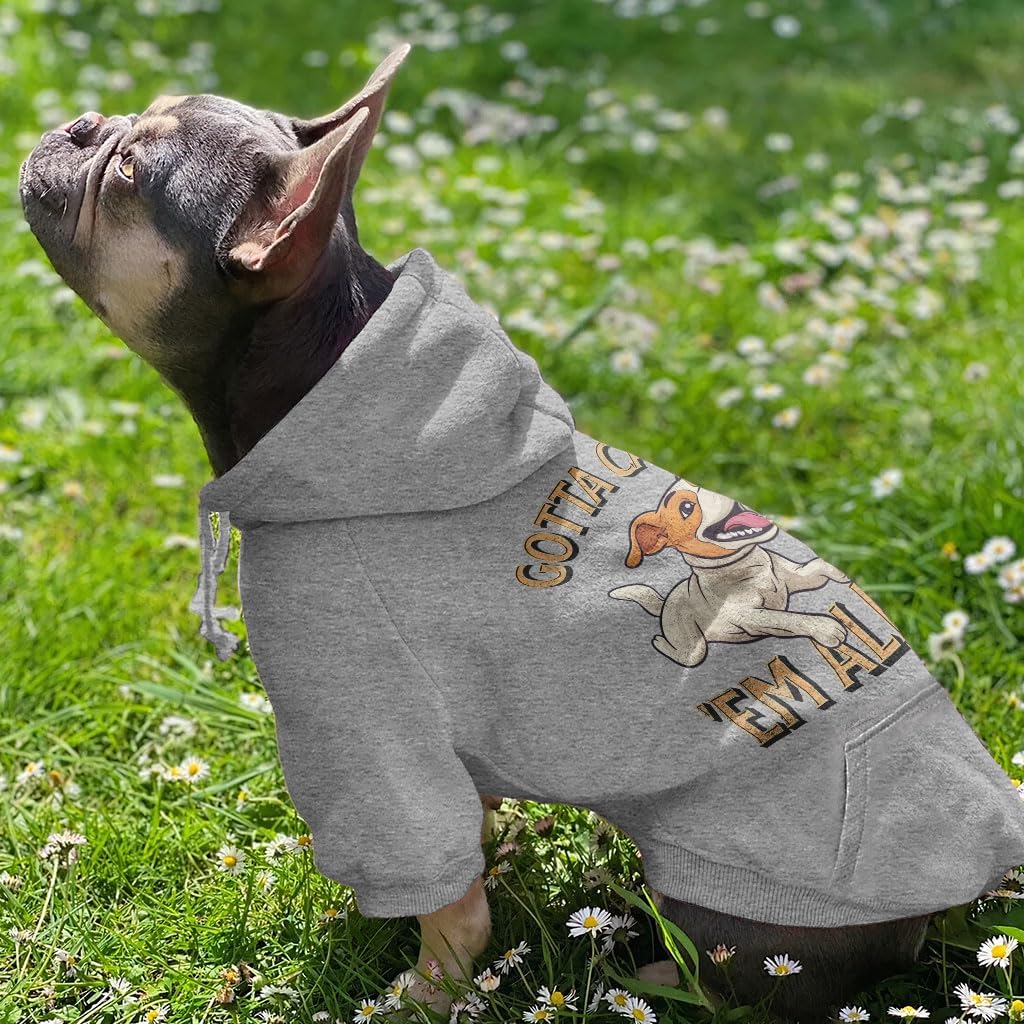 Gotta Catch 'em All Dog Hoodie with Pocket - Dog Apparel - Gifts for Squirrel Lovers - Gray, L