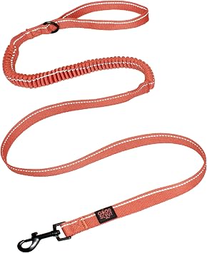 Good Scout 5 Heavy Duty Bungee Leash for Medium Dogs, Durable Walking & Training Leash for Puppies & Adult Dogs, D-Ring for Waste Bag Storage, Brick