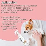 Ver la foto 5