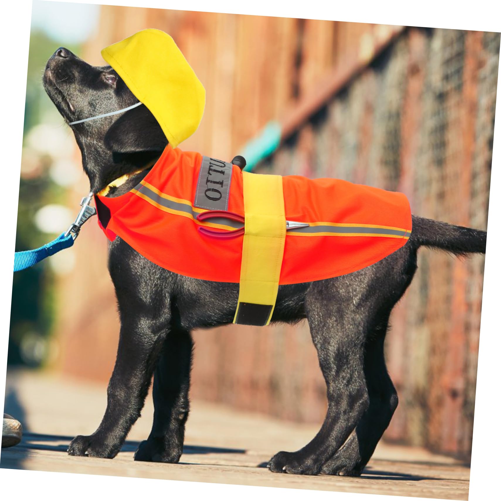 FRCOLOR 5 Pz Vestiti Per Animali Domestici Costume Da Cucciolo Aspetto Ingegnere Animale Domestico Giubbotto Riflettente Per Gilet Sicuro Per Cani Forniture Per Cani Poliestere Il Cane