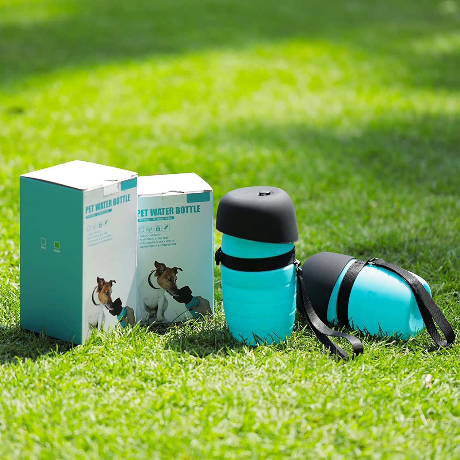 View 7