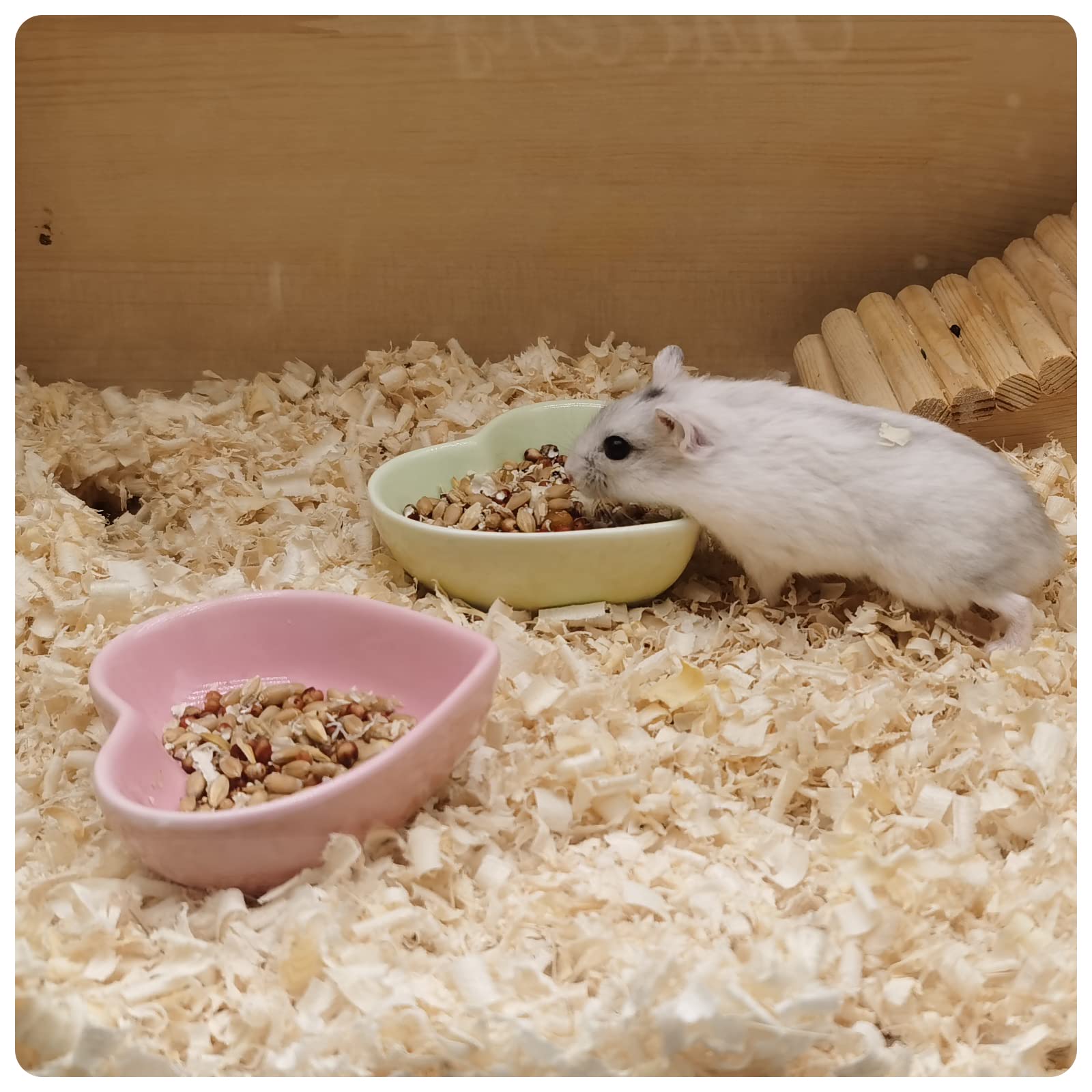 Bol en céramique en forme de cœur pour hamster, bol d'eau lavable pour cochon d'Inde, gerbille, hérisson, chinchilla, perroquet (rose)