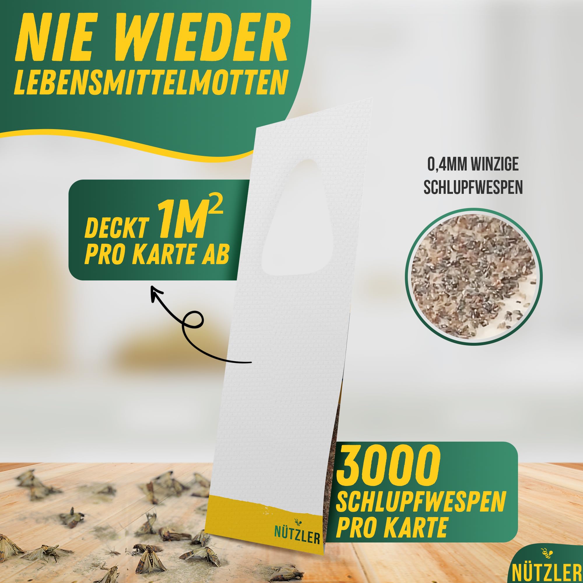 Schlupfwespen gegen Lebensmittelmotten - EINZELLIEFERUNG - (15 Karten, 1 Lieferung) - Nützlinge - Mottenbekämpfung mit Trichogramma evanescens