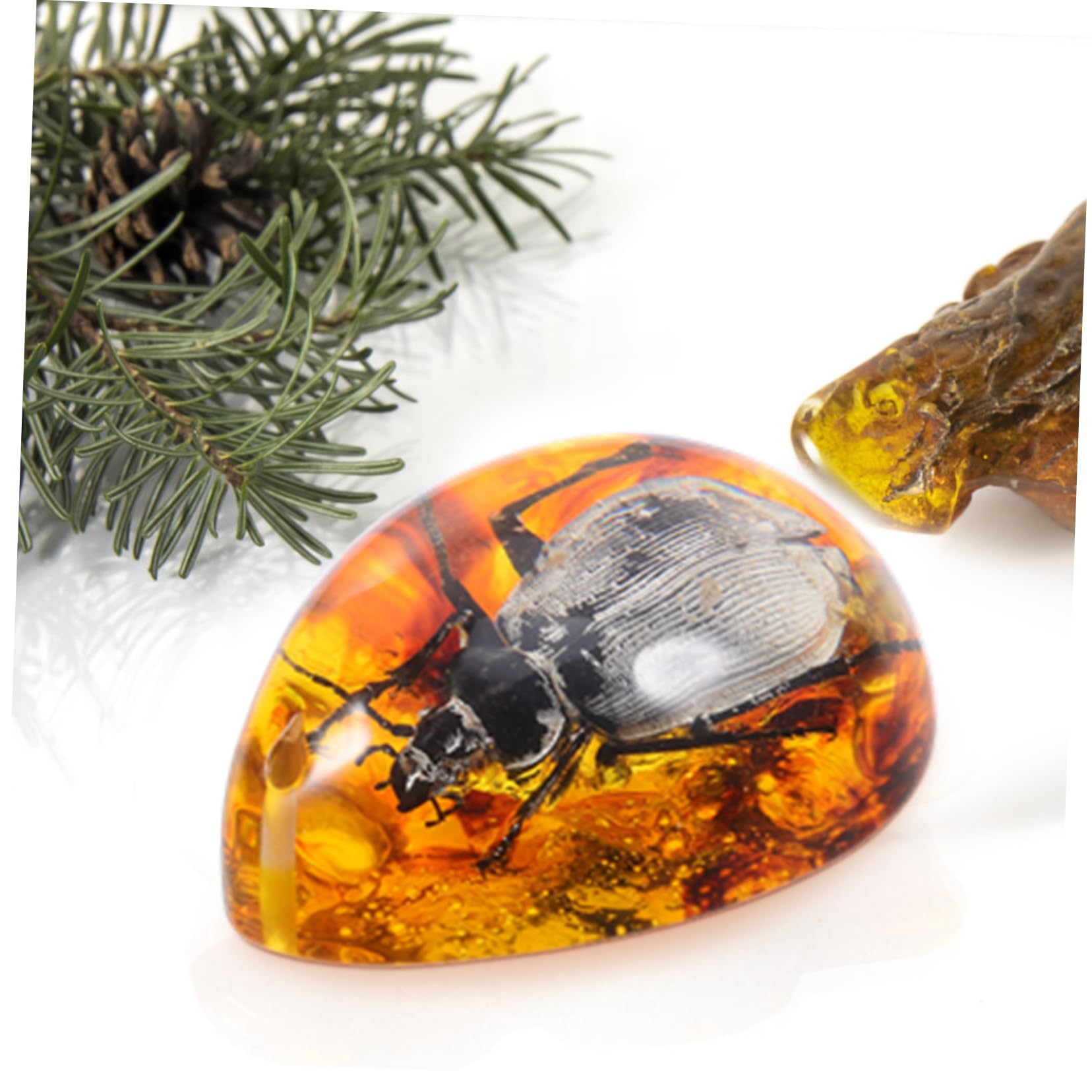 Amazon.co.jp: GATHINESS 琥珀の蜜蝋標本 昆虫の琥珀 琥珀色の石 昆虫