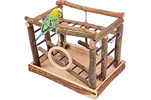 Niteangel Natural Living Playground for Birds: A Paradise for Feathered Friends