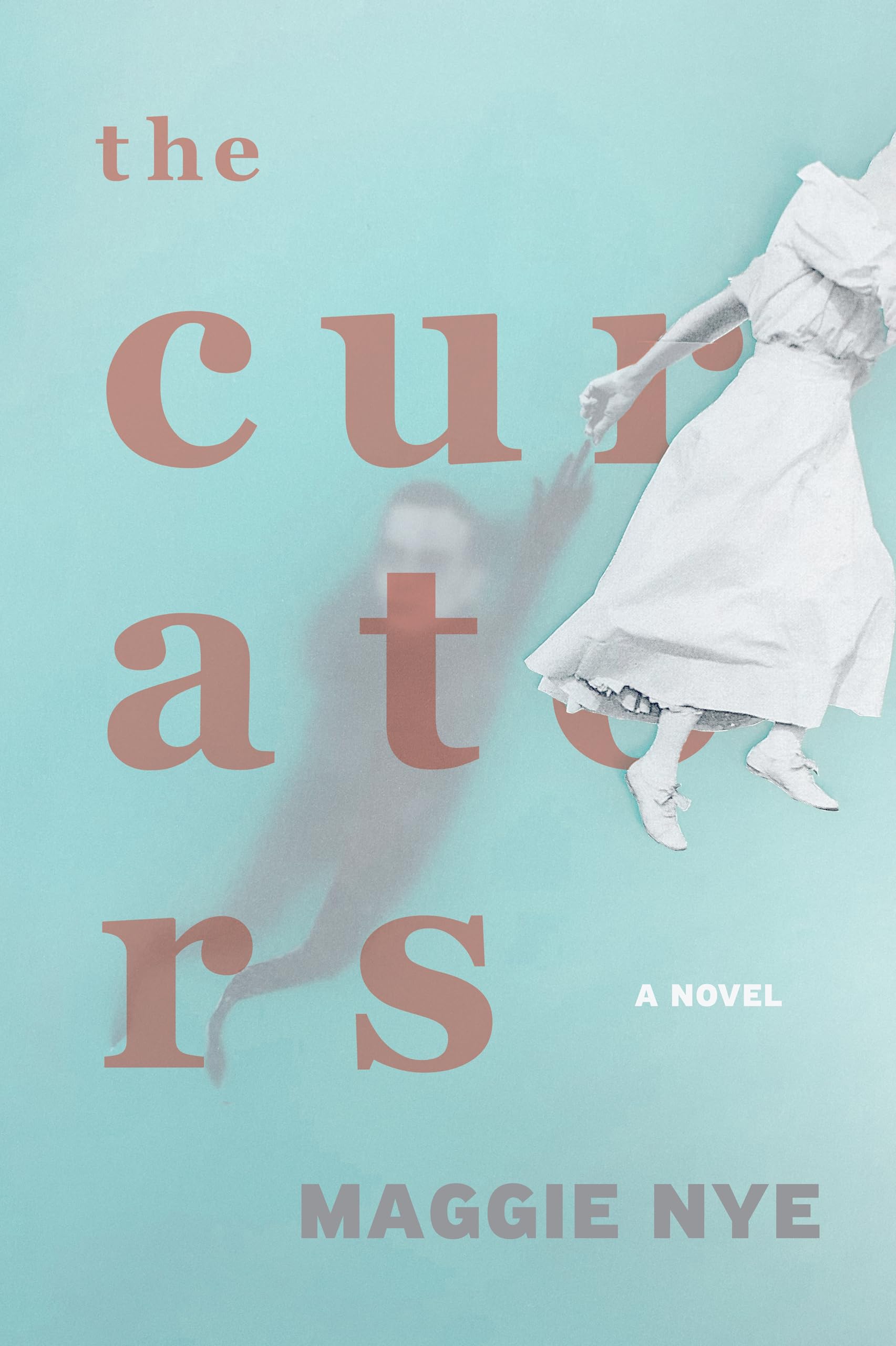The Curators: A Novel