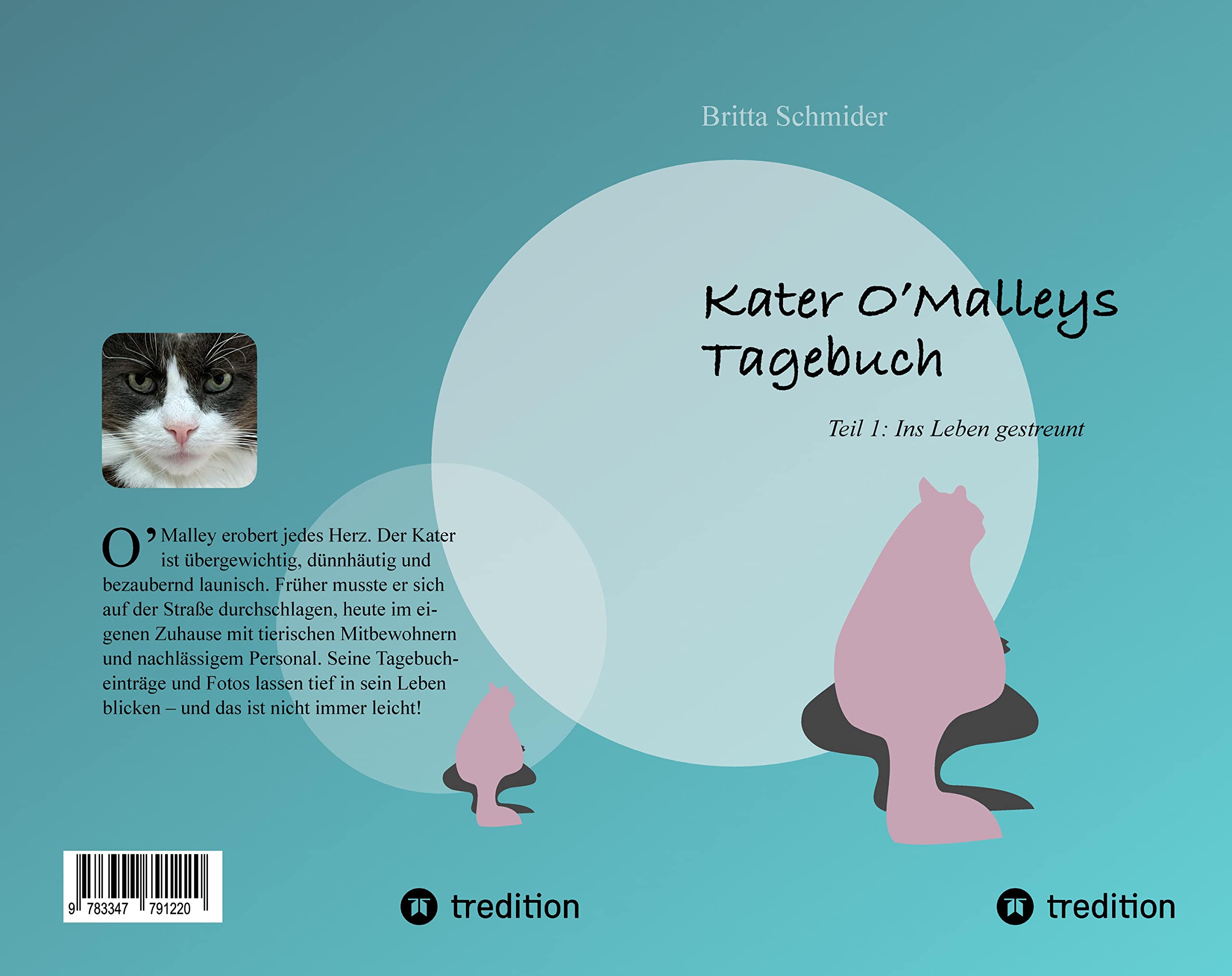 Kater O'Malleys Tagebuch: Teil 1: Ins Leben gestreunt