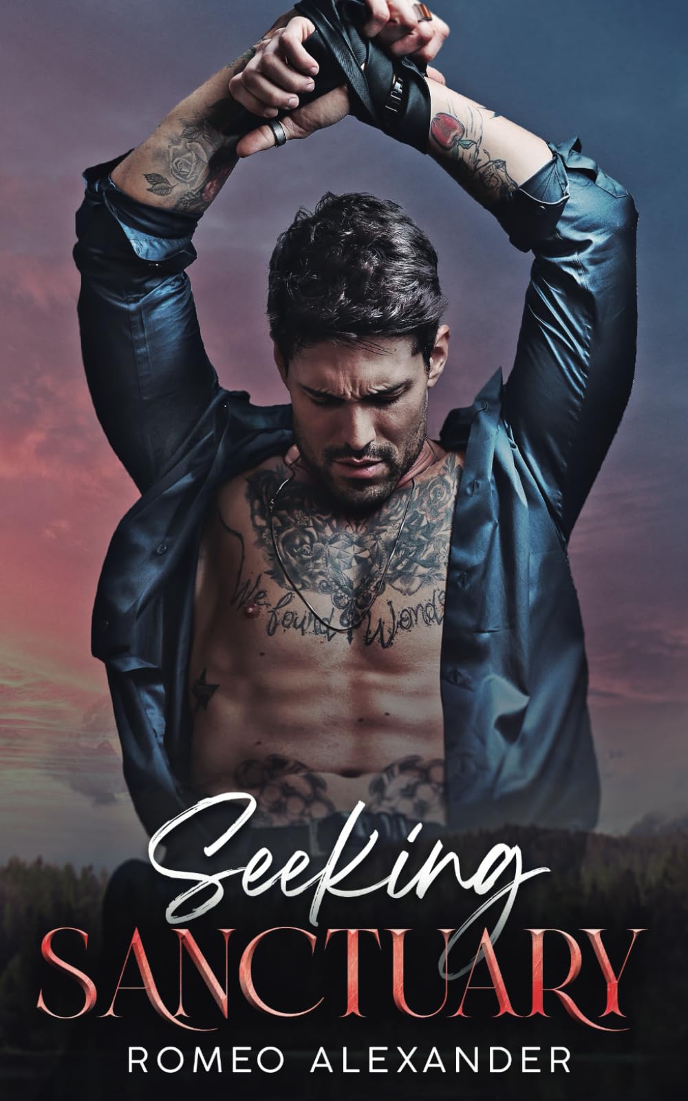 Seeking Sanctuary (Men of Fairlake)