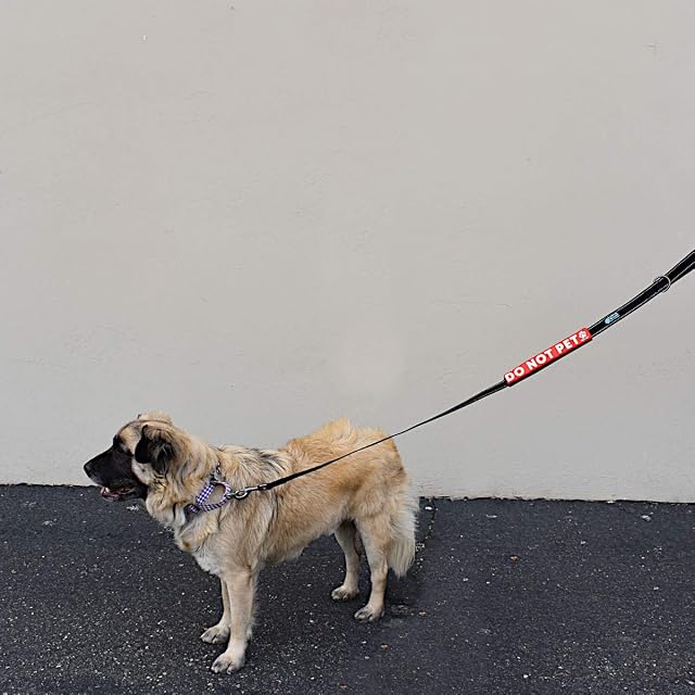 Foto 4 de 4 de Max and Neo Las Fundas para Correa no se mascotan: donamos 1 por 1 a rescates de Perros por Cada Producto…