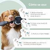 Ver la foto 5