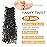 Aksice 10 Inch 8 Packs Yanky Twist Crochet Hair for Women Pre-looped Mini Twist Hair Bohemian Passion Twist Crochet Hair Boho Crochet Braids Synthetic (4)