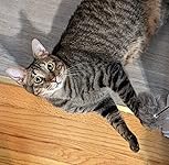 Review Image by Corrie Corrie