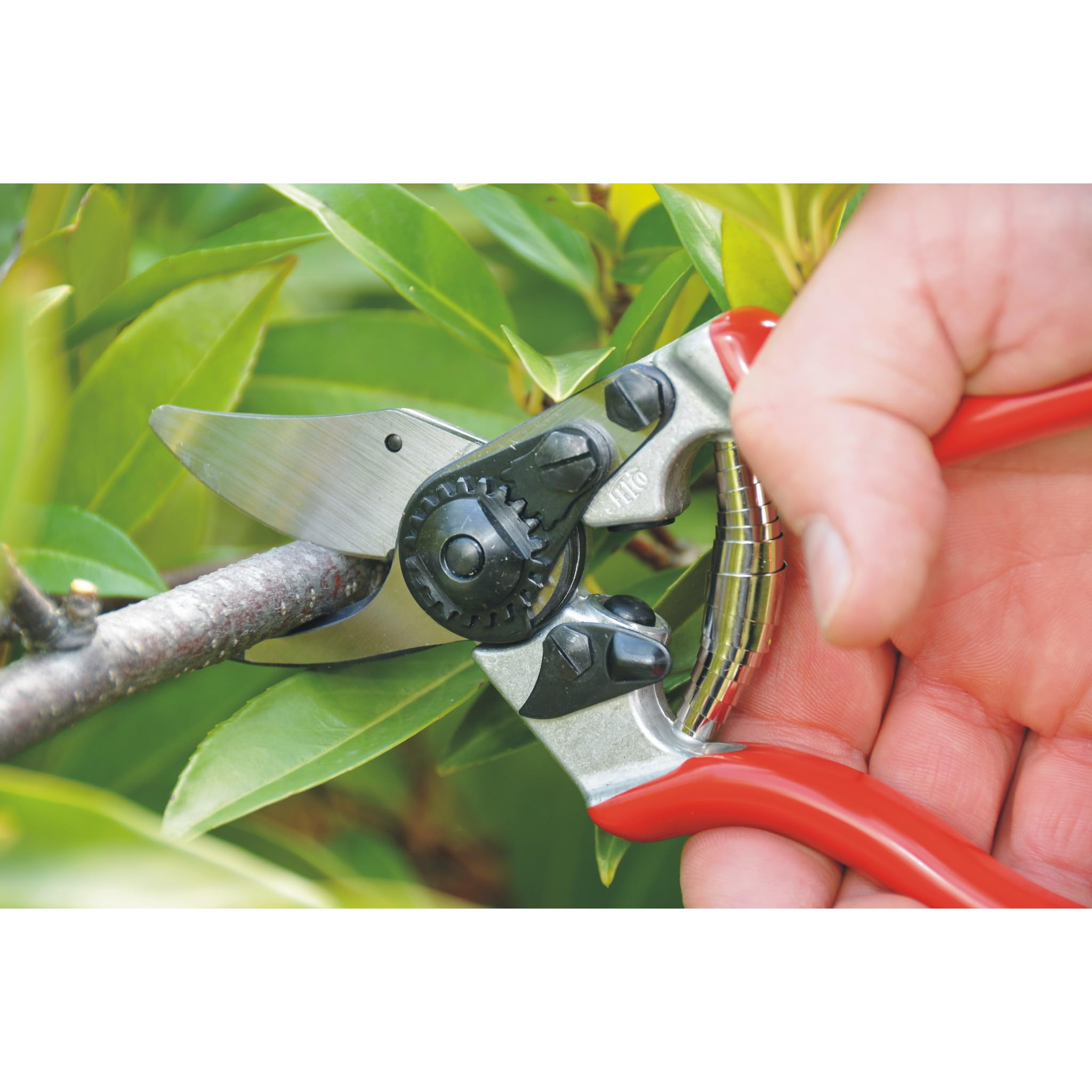 FELCO Ensemble sécateur FELCO 6 et scie pliante 601 - Outils essentiels pour le jardinage, coupe précise et vigne