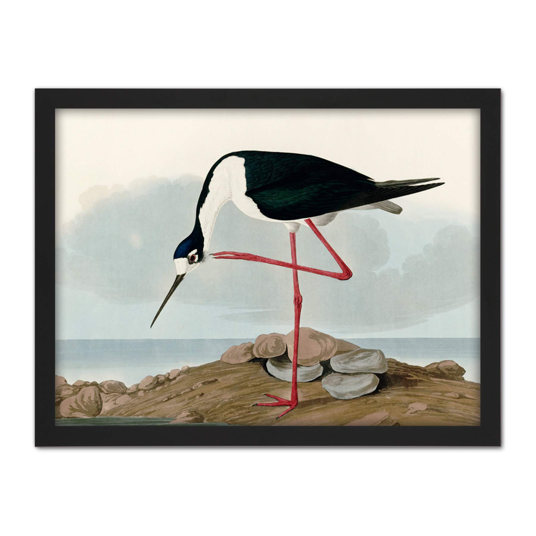 Artery8 Audubon Birds Long Leg Avocet Painting Artwork Framed Wall Art Print 18X24 Inch