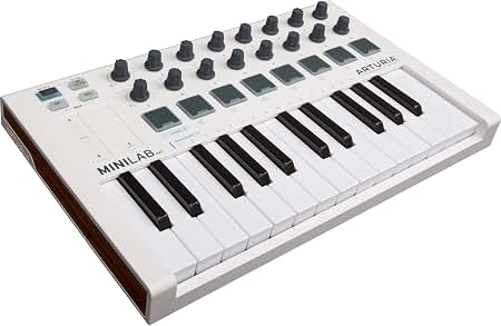Amazon.com: Arturia - MiniLab MkII - Portable MIDI Controller for