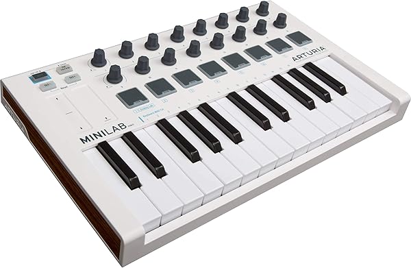 Arturia MiniLab MkII tragbarer MIDI Controller