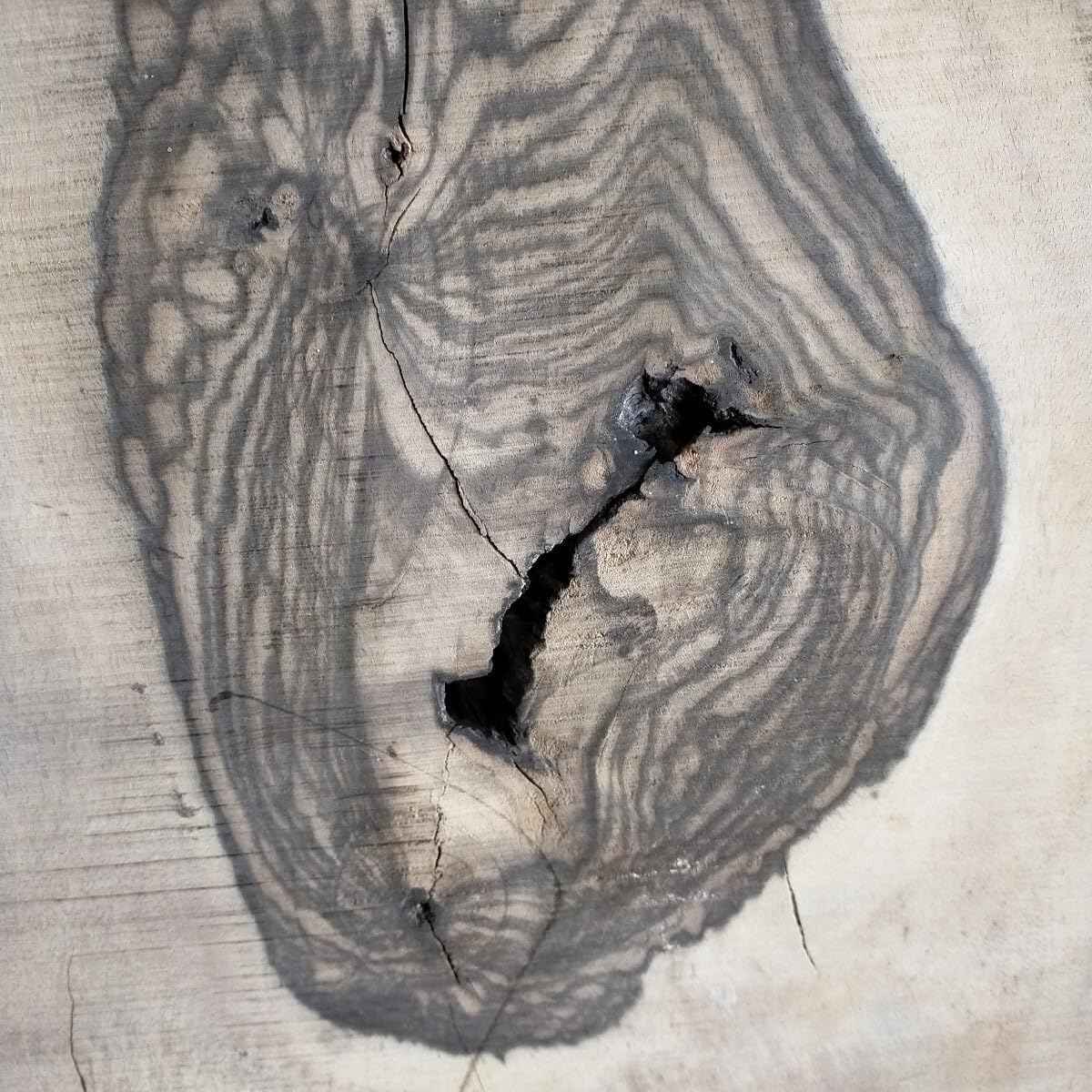 かき氷機 鉄錆物 ブロカント 多肉&セダム 古道具 TY119 TOKICO