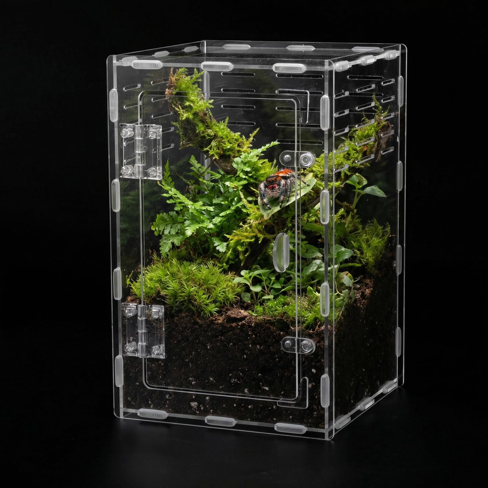 Photo 1 of 11.8 Inch Jumping Spider Enclosure, Desktop Micro Terrarium, Breeding Box, 360° Clear Acrylic Insect Habitat, 3-Side Ventilation, Easy Assembly, for Mantis, Tarantula, Snail, Small Reptiles, Plants