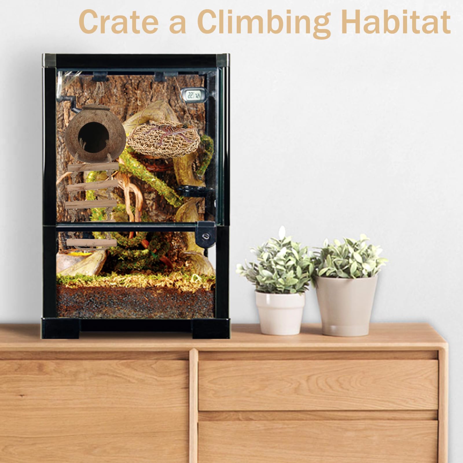 Climbing Gecko Toy Reptile Takraw Ball Hideout With Ladder - 6 Inch ...