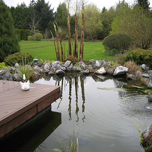 Miniatura 6 de Pintura epoxi no tóxica