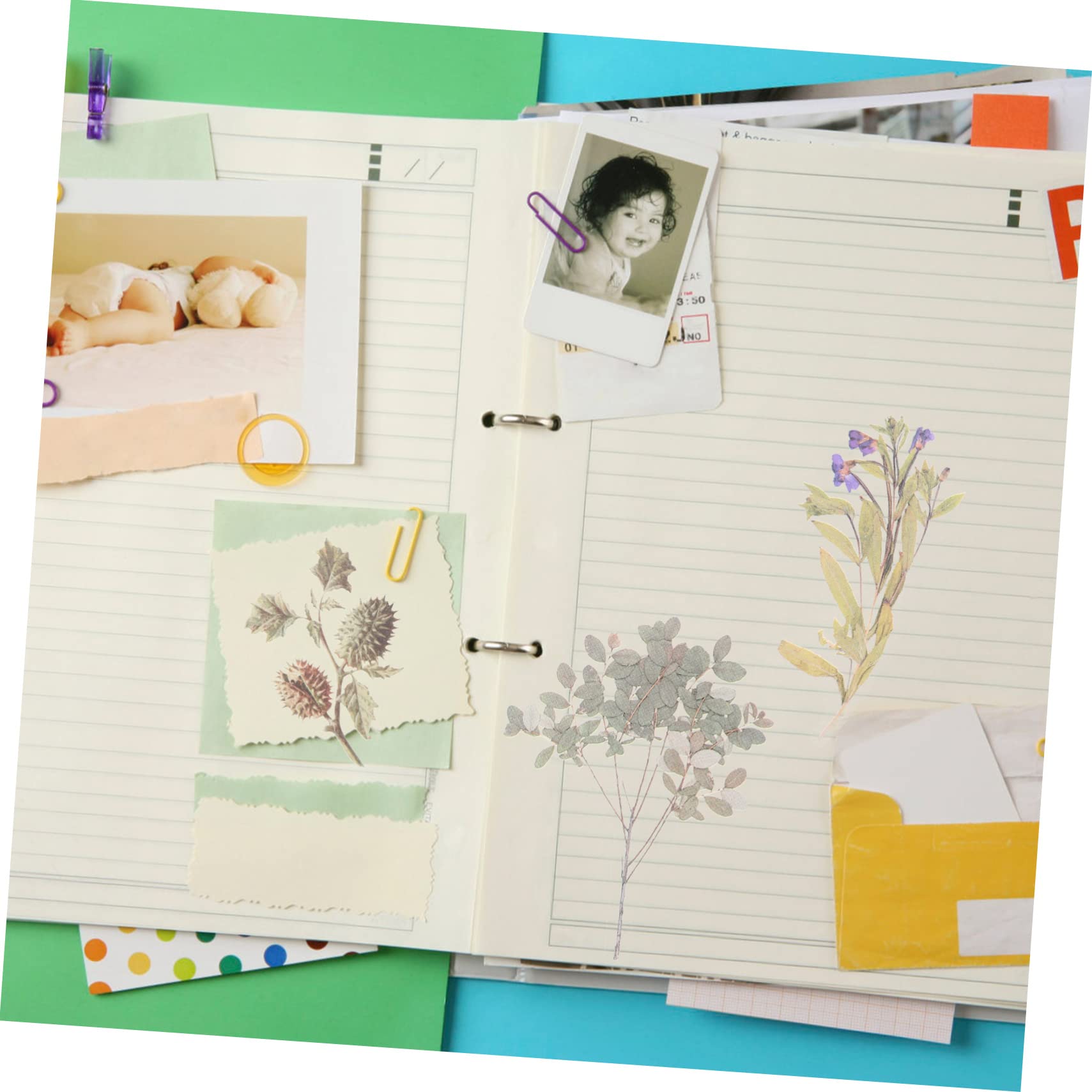Tofficu 600stücke Pflanzenaufkleber Im Vintage-stil Wasserdichte Transparente Pet-dekorationsaufkleber Für Scrapbooking Und -handarbeiten Blumen Und Pilzmuster Für Notizbücher Und