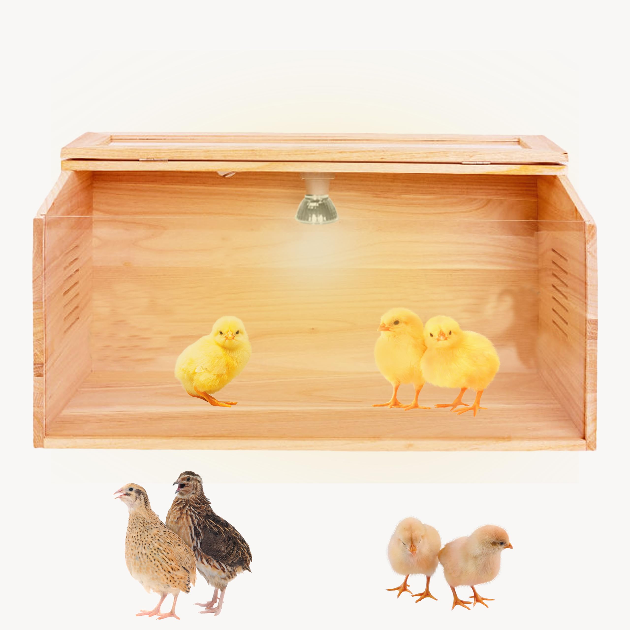 Brooder Box for Chicks,512 Chicken Brooder Heater, Chicken Brooders