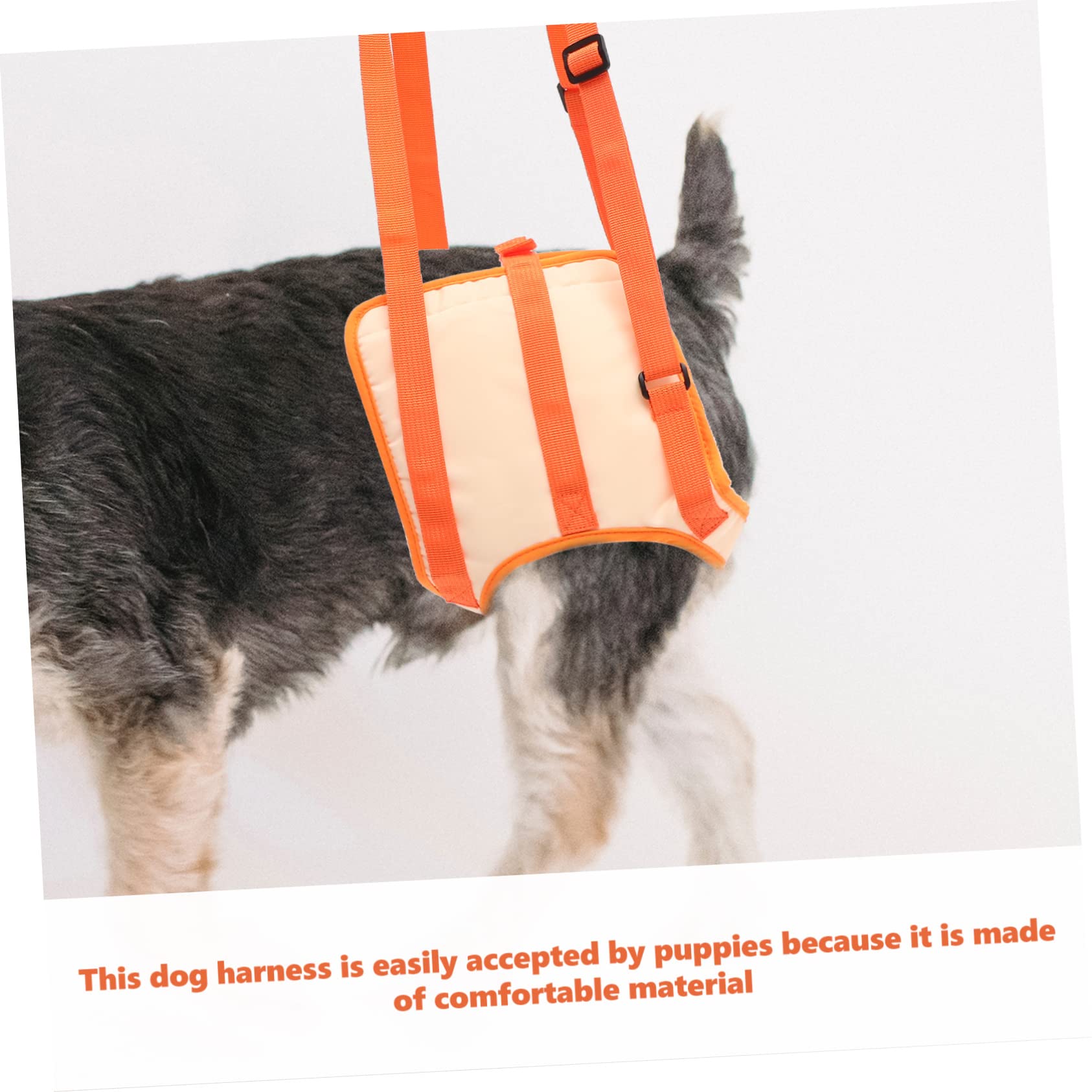 BESPORTBLE 3pièces De Soutien pour Chien Ceinture De Levage Ajustable pour Assistance Marche Et Réhabilitation pour Chiens Âgés Ou Handicapés XL