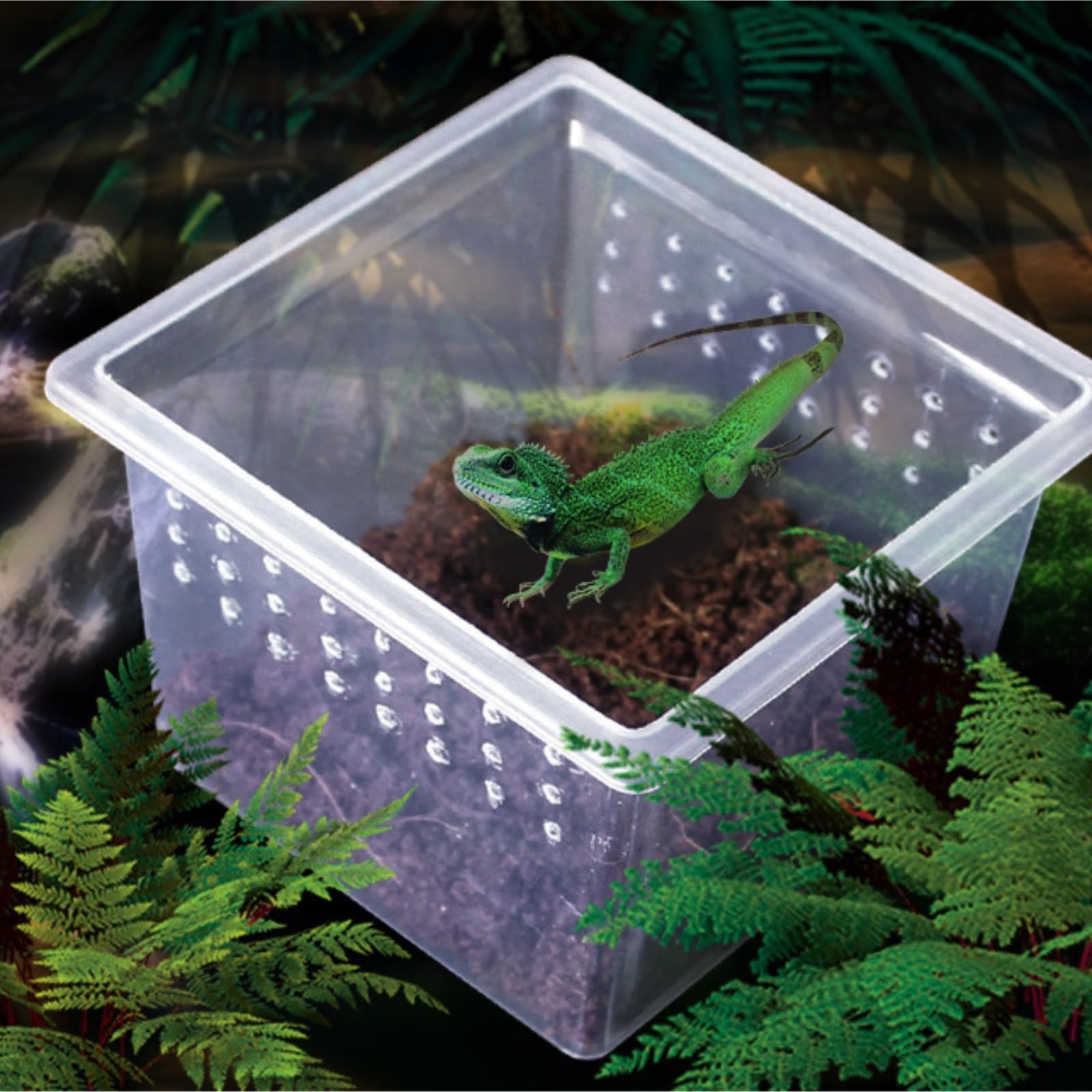 Terrario Reptiles Insectos Jaula For Reptiles, 12 Unidades, Caja Portátil For Cría De Insectos, Serpientes, Arañas Terrario Caracoles