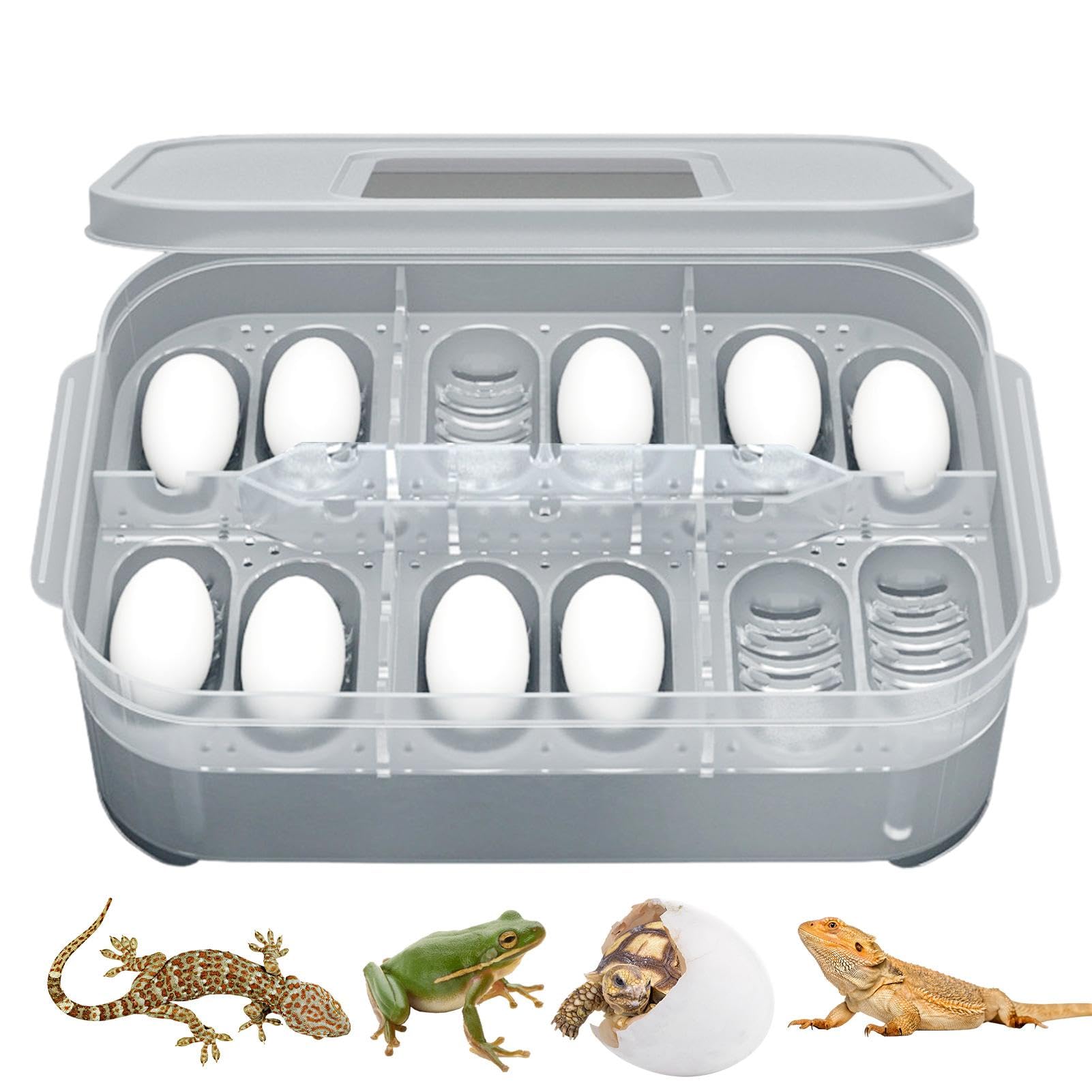Incubateur Pour Reptiles - Incubateur D'œufs De Serpent - 12 Grilles - Incubateur D'œufs De Serpent - Boîte D'élevage Transparente Pour Reptiles - Plateau Pour Lions éclosants