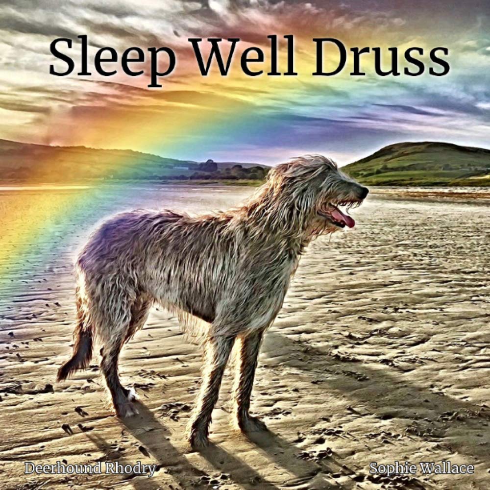 Sleep Well Druss