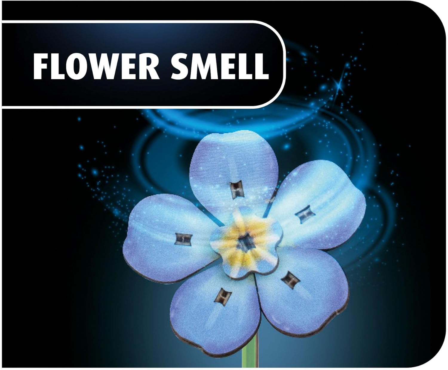 Revell Blossom Festival Wooden Bouquet as Decoration, Eternal Flowers with Vase and Fragrance Ring, DIY Flower Kit, Sustainable Home Decoration and Gift Idea