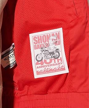 Amazon.co.jp: 湘南爆走族スイングトップ40th Anniversary