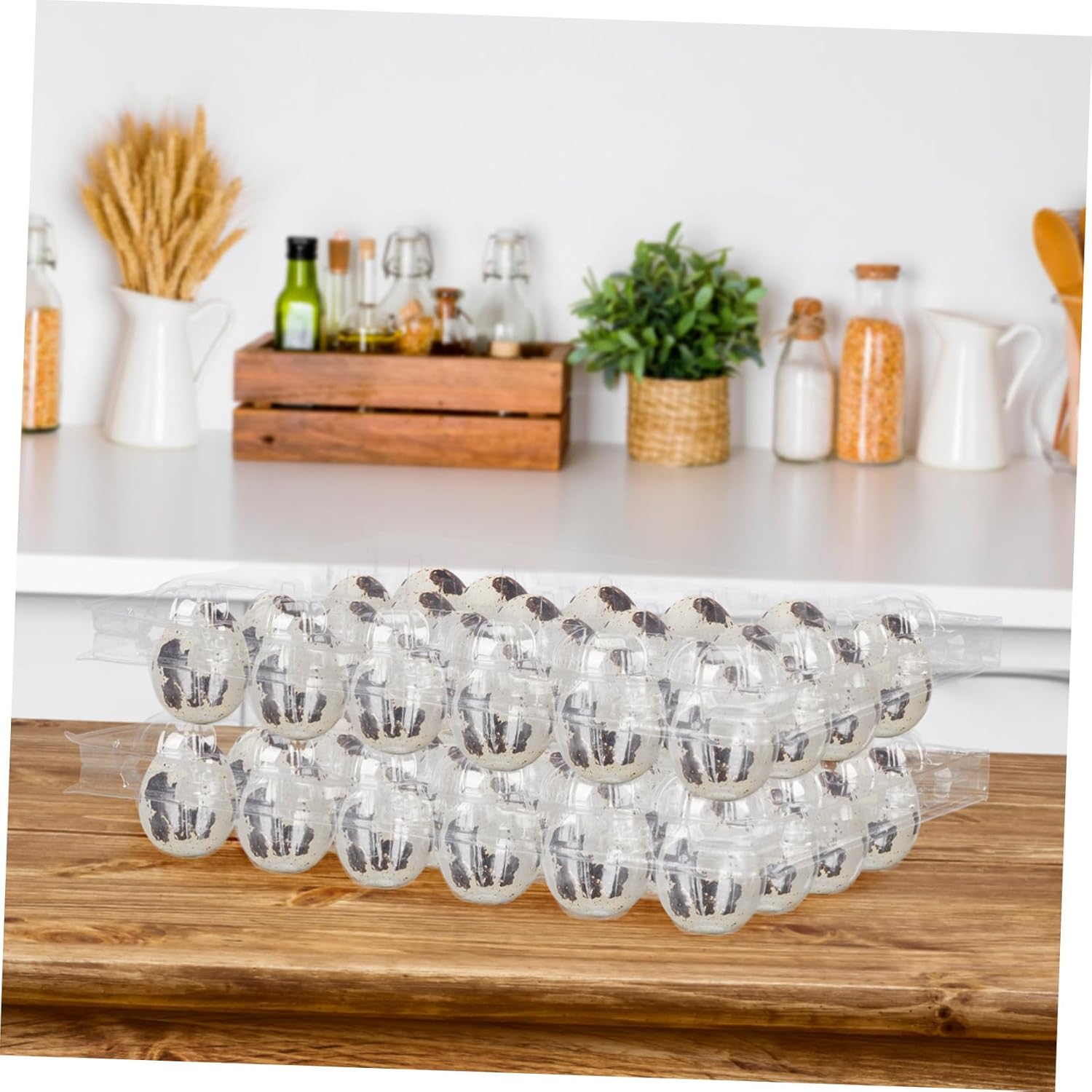 NUOBESTY 50pcs Quail Trays Holders for Safe Storage and Easy Viewing for Kitchen Organization and Refrigeration